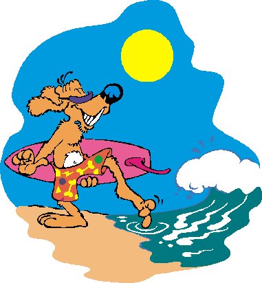 huisdieren-op-vakantie